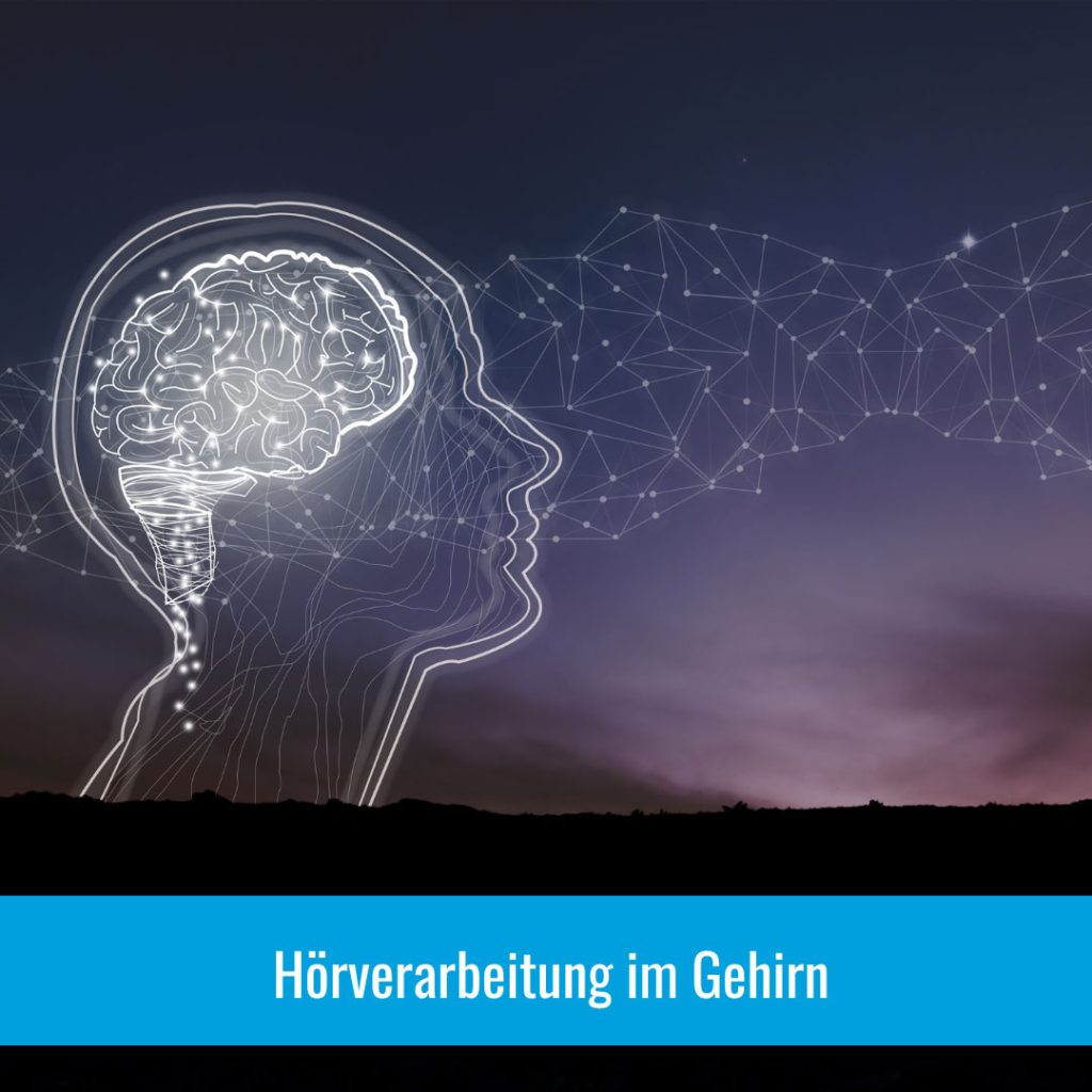 Hörverarbeitung im Gehirn – Warum Hören mehr ist als nur Hören